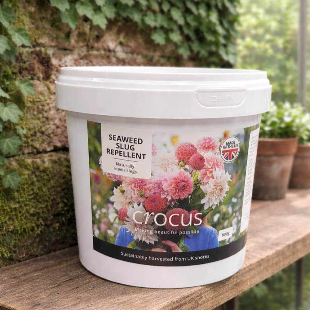 Product options image