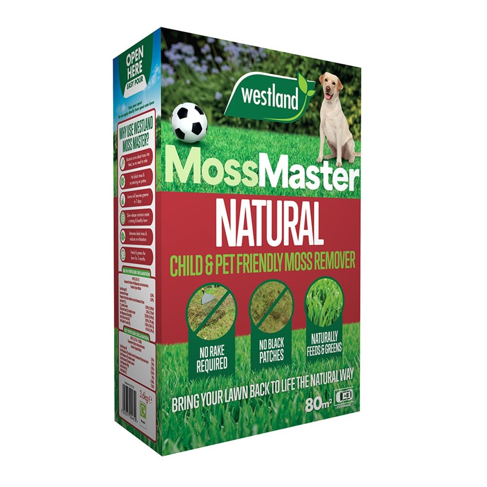 Product options image