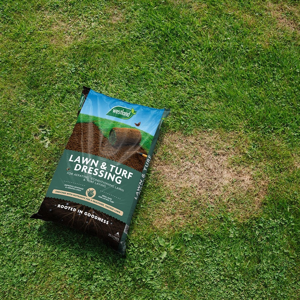 Product options image