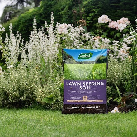 Lawn seeding soil