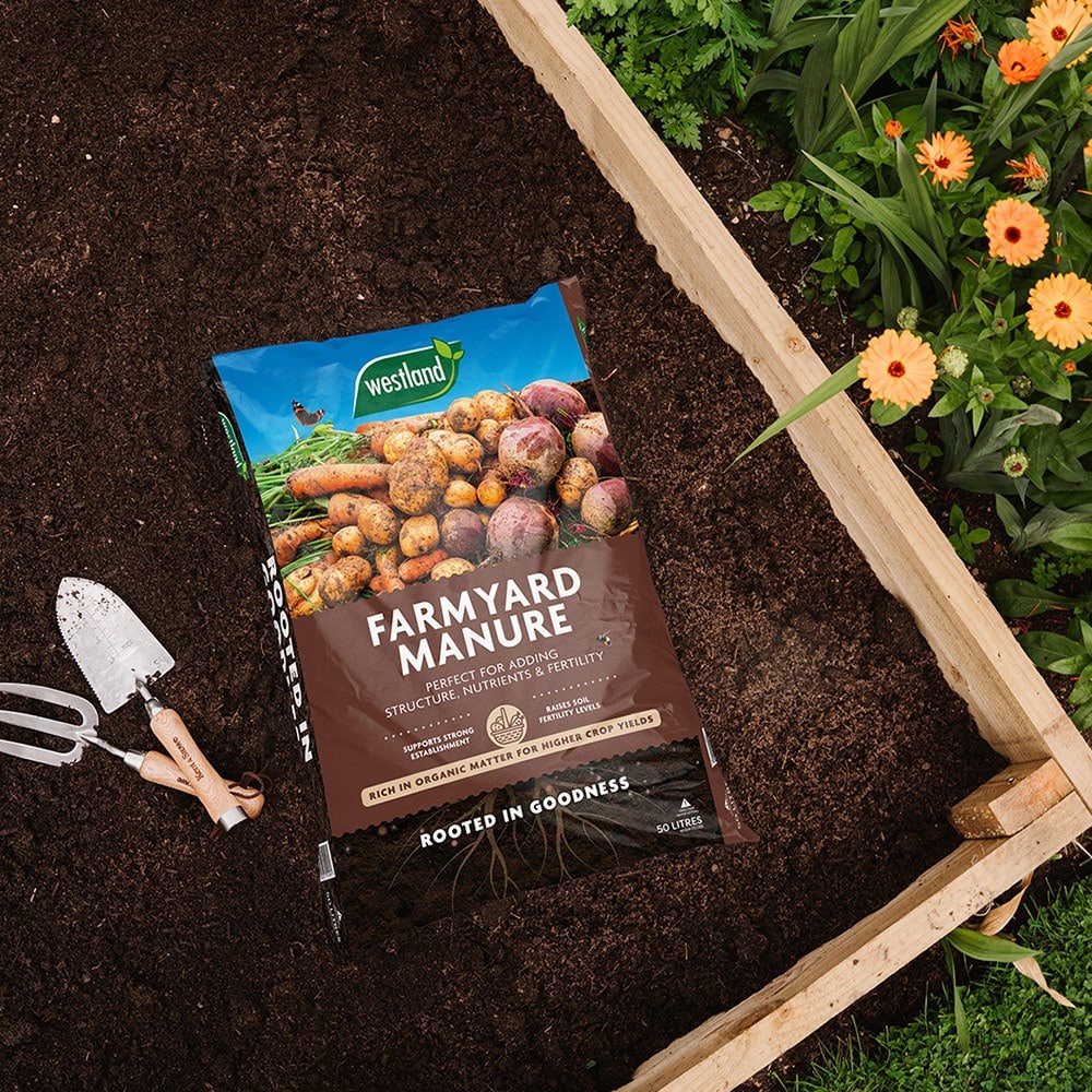 Product options image