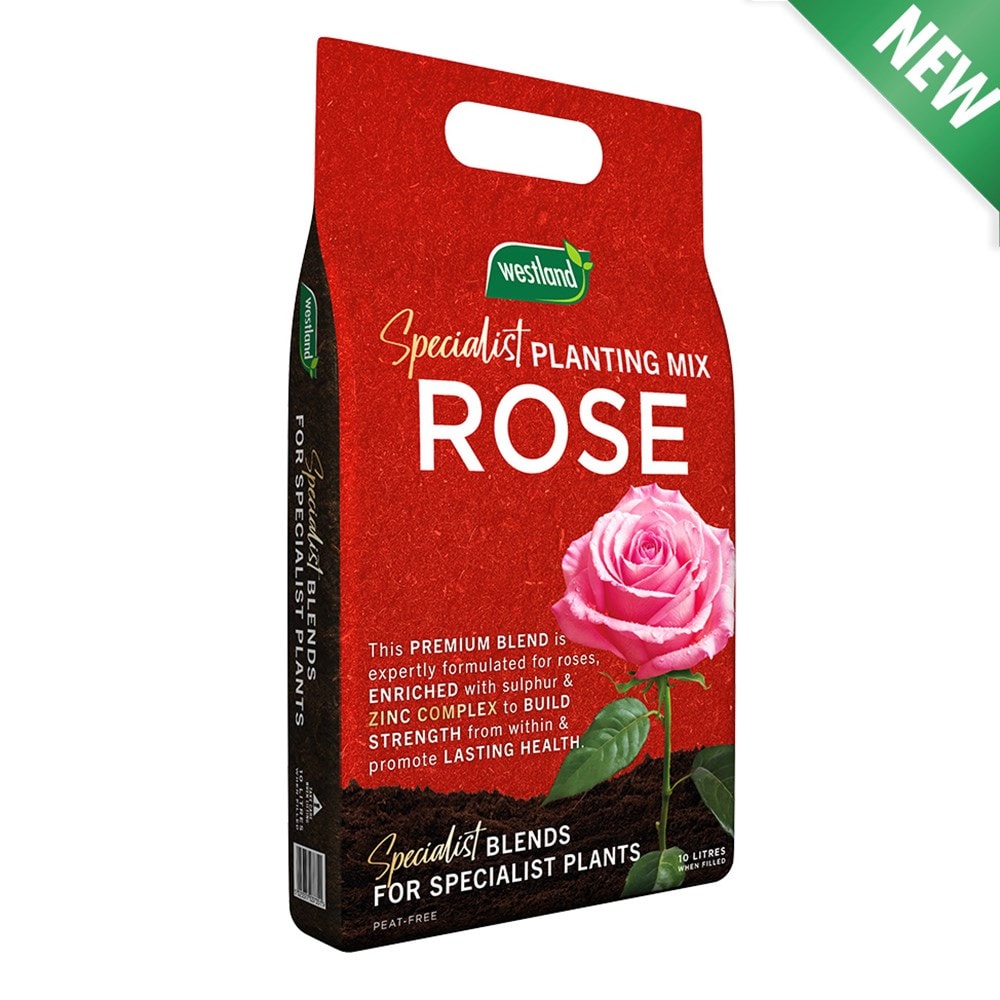 Product options image