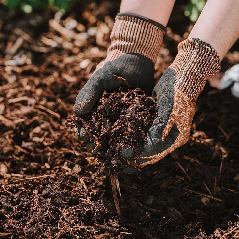 Product options image