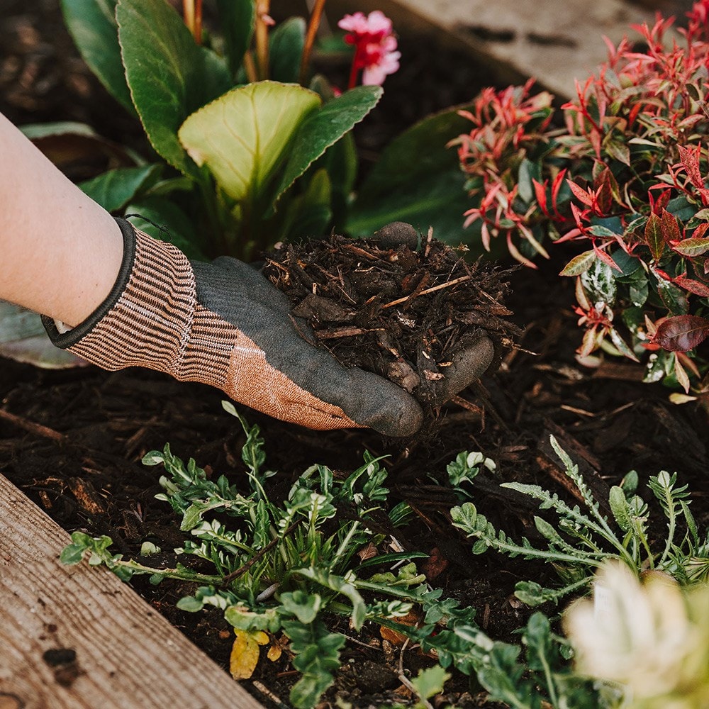 Decorative mini bark
