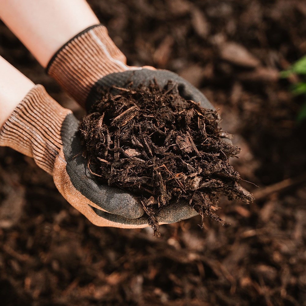 Product options image