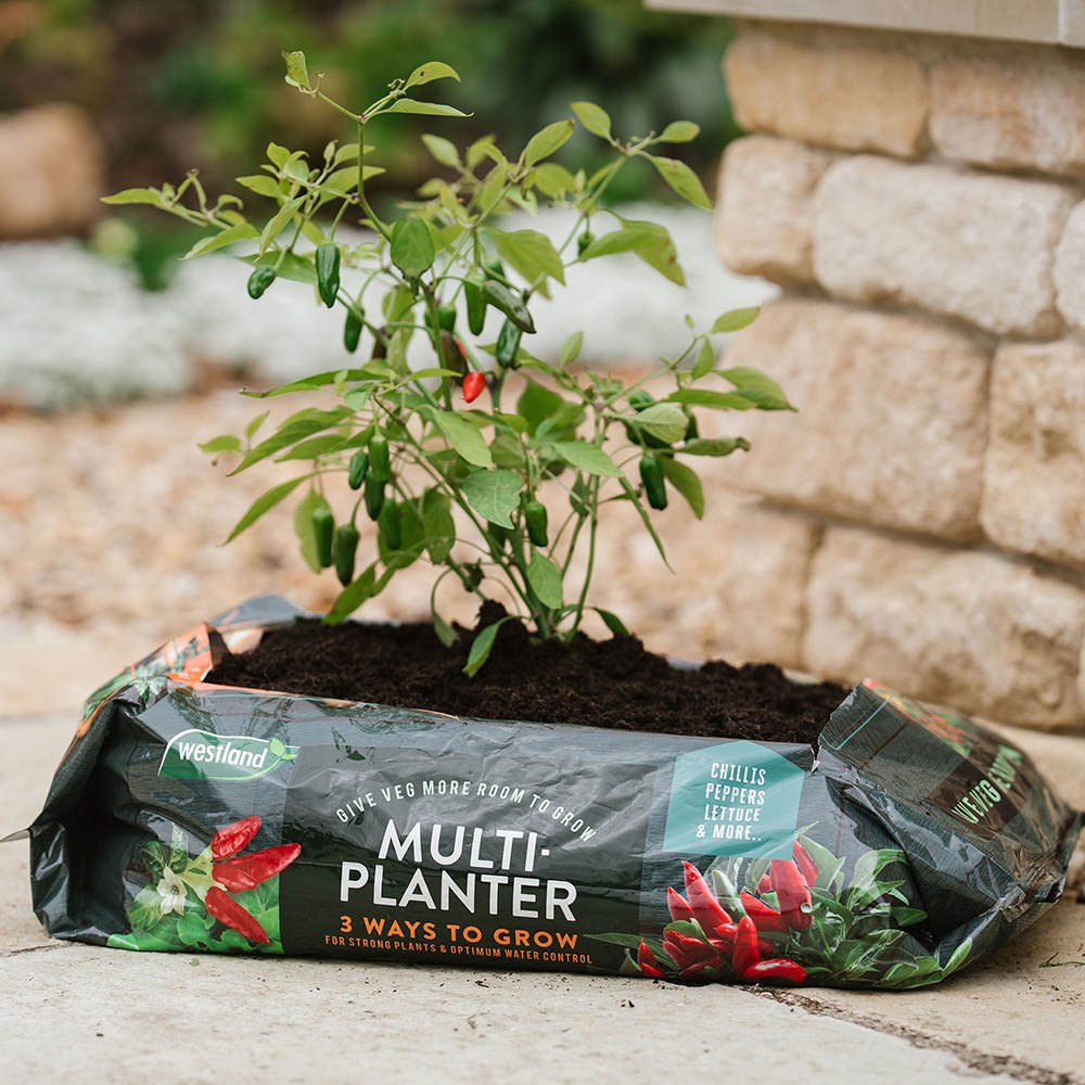 Multi-planter peat-free growbag