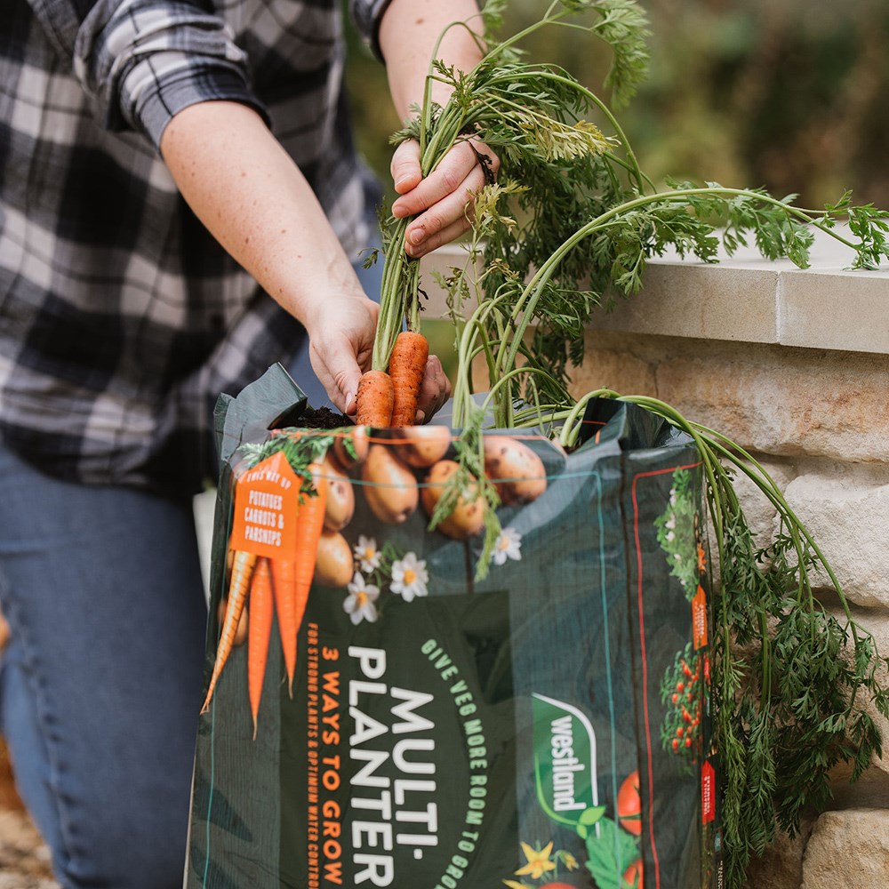 Multi-planter peat-free growbag