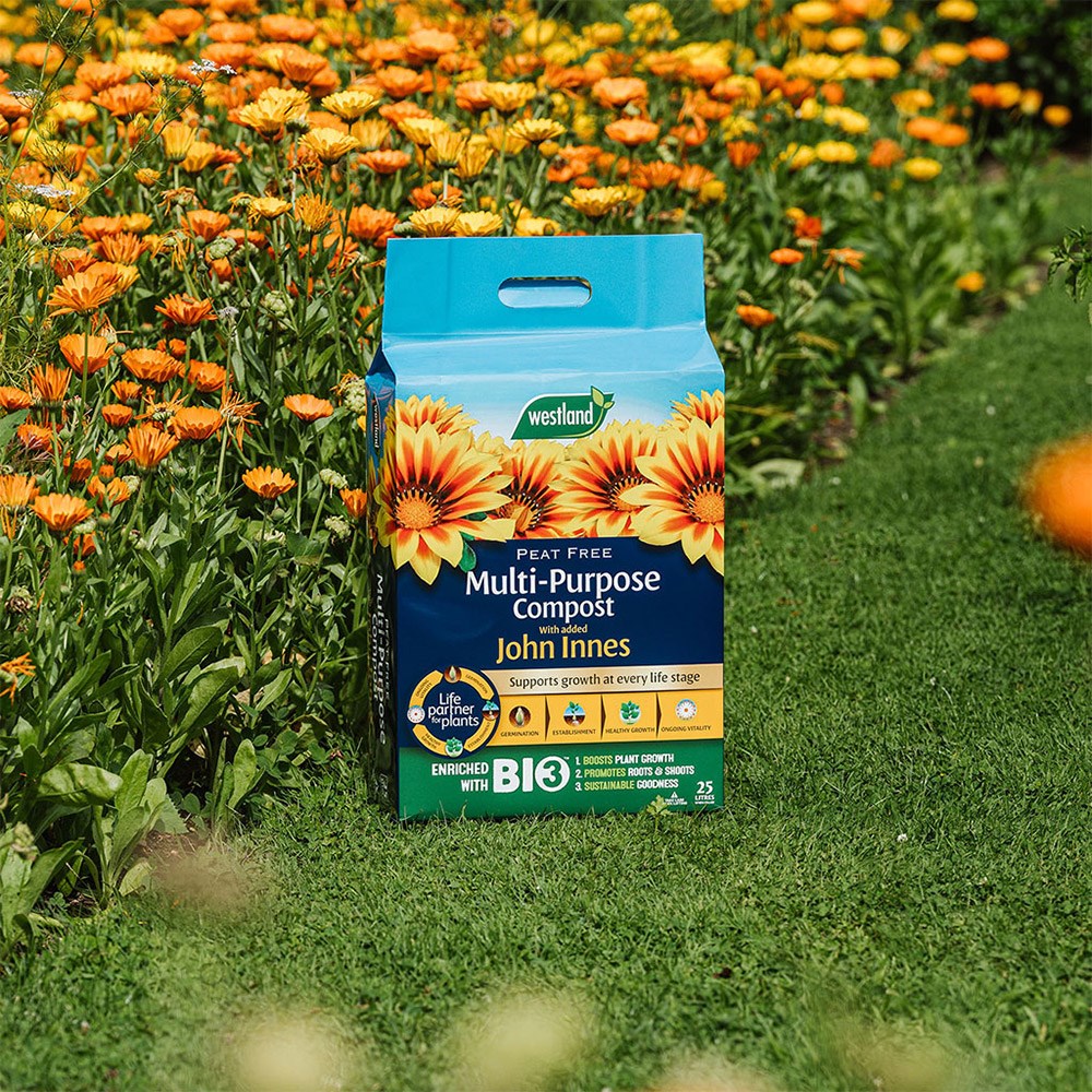 Peat-free multi-purpose compost & John Innes mini bale