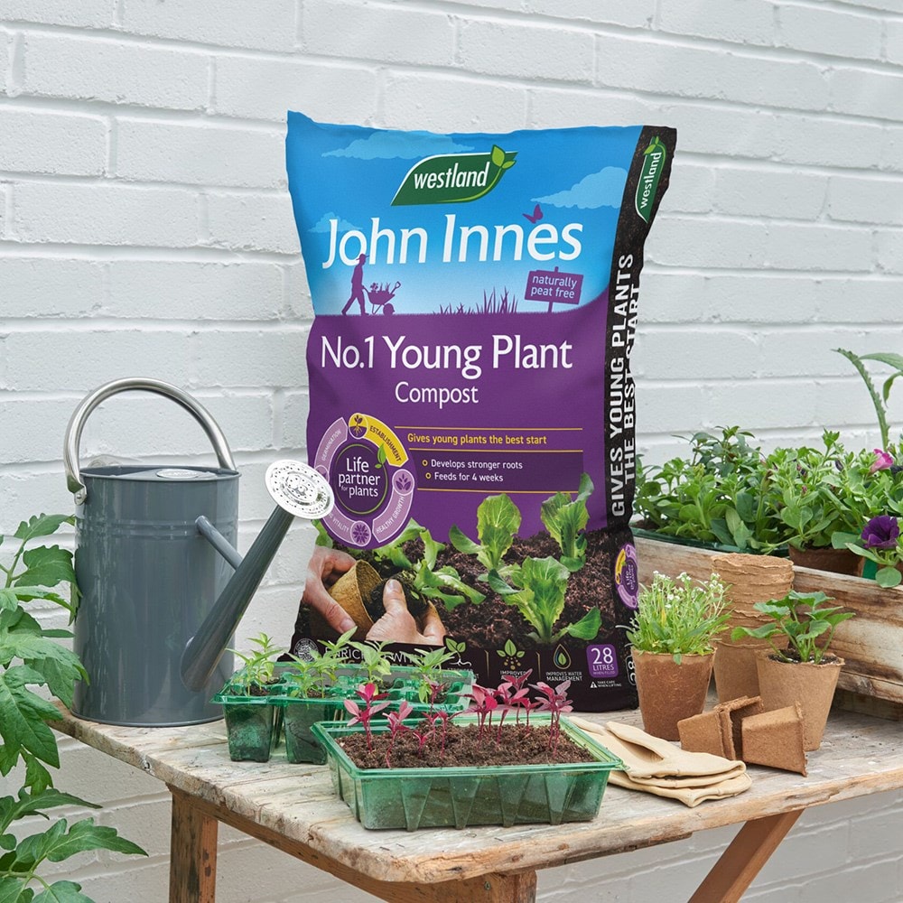 Product options image