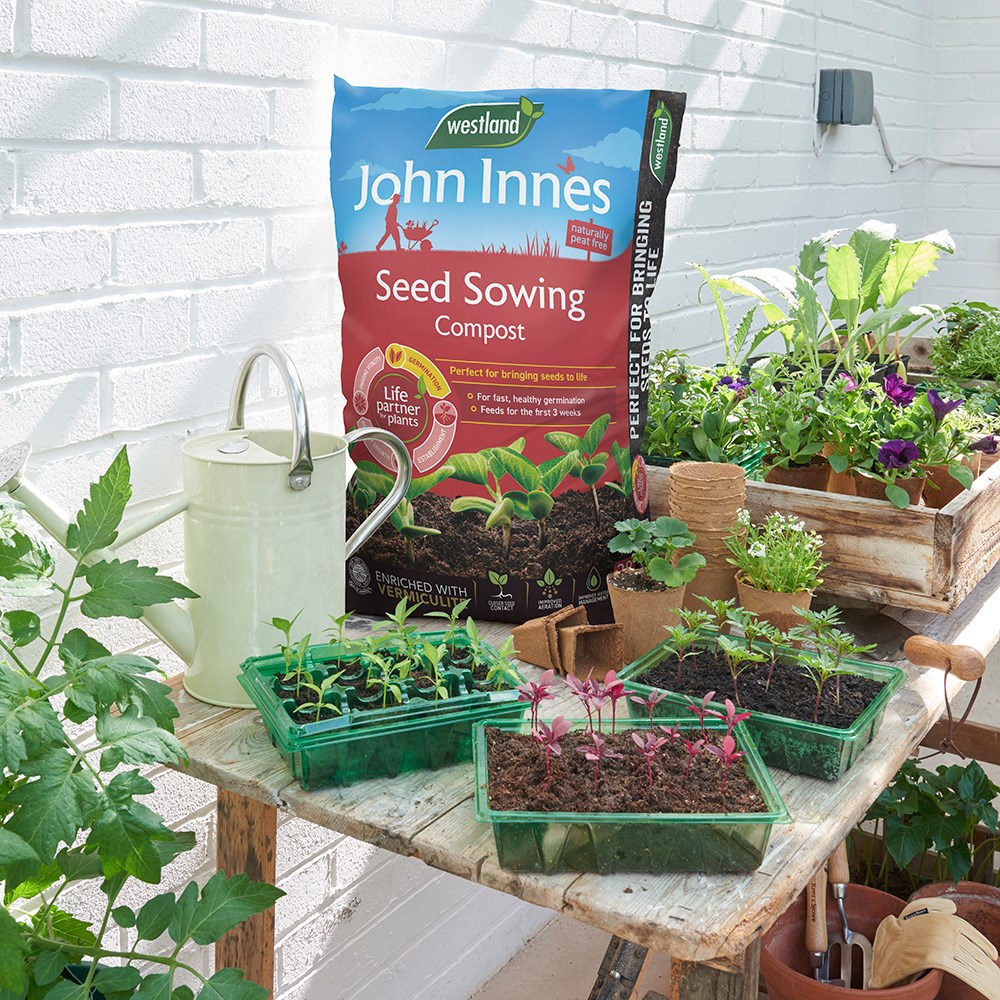 Product options image