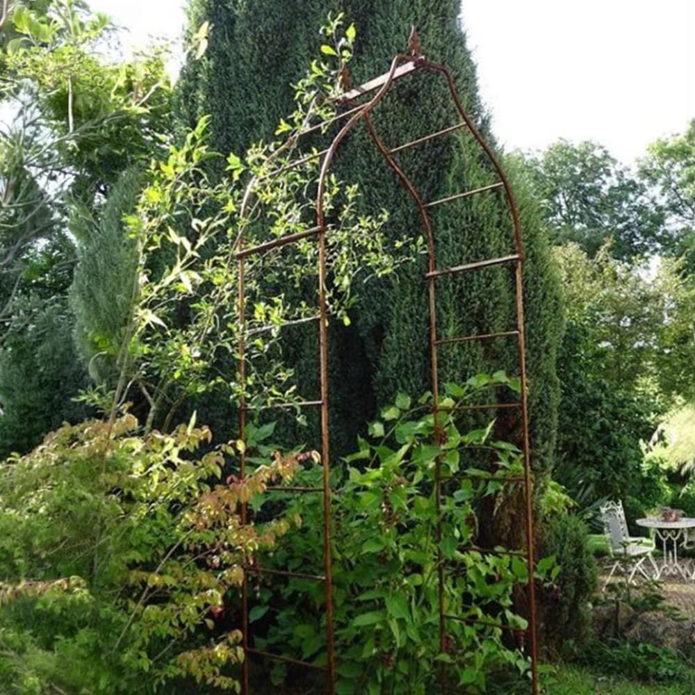 Wisteria arch - rust