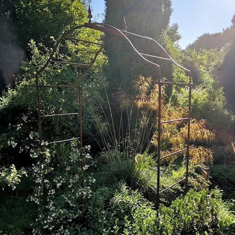 Wisteria arch - rust