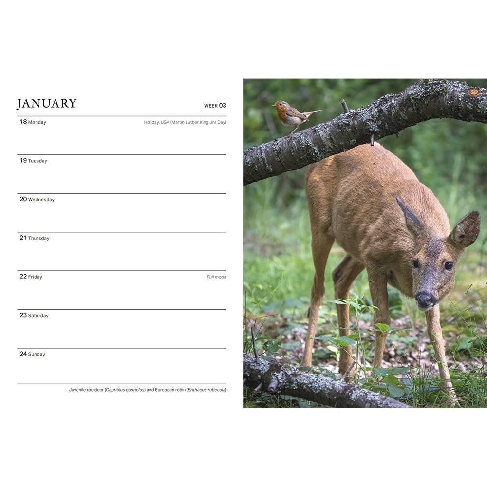 RHS wild in the garden diary 2027