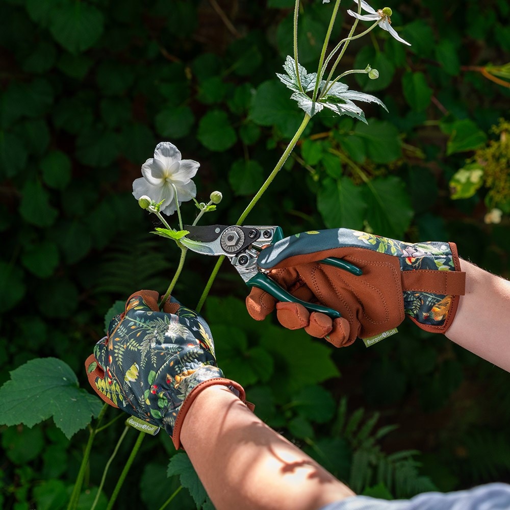 RHS woodland wonders pruner and holster gift box