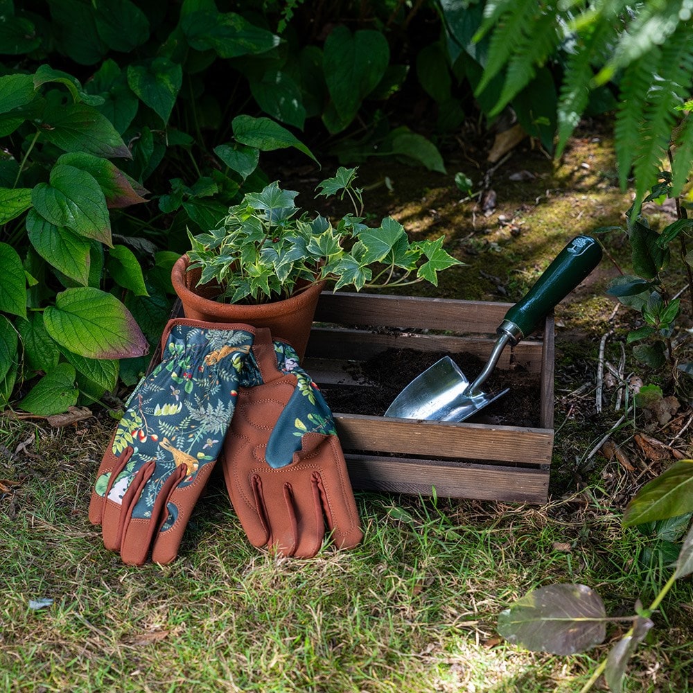 RHS woodland wonders gloves