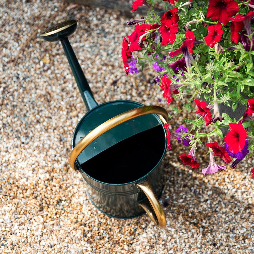Dark green watering can with gold trim - 9.5 litres