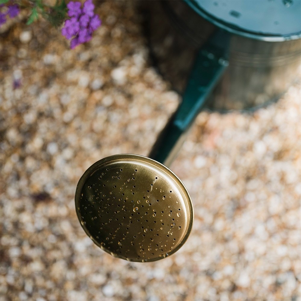 Dark green watering can with gold trim - 9.5 litres