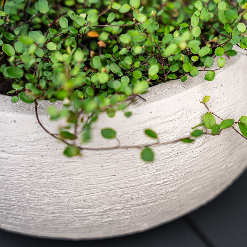Large balloon bowl planter - sand
