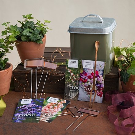 English cottage garden seed kit