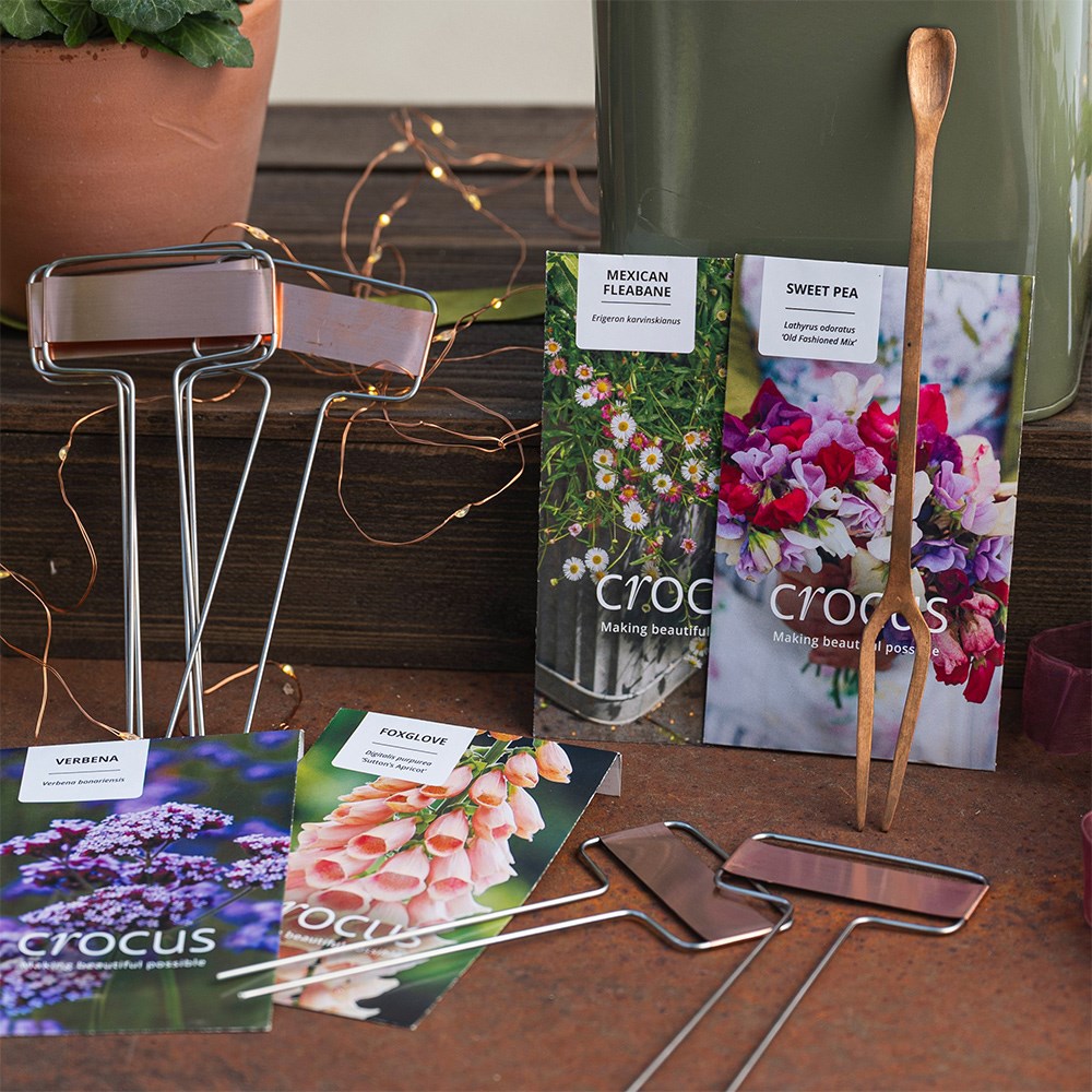 English cottage garden seed kit