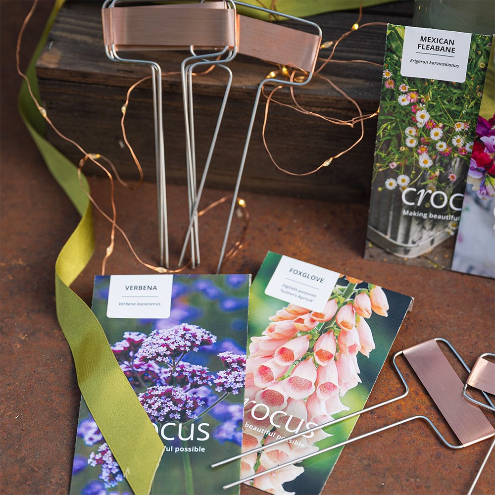 English cottage garden seed kit