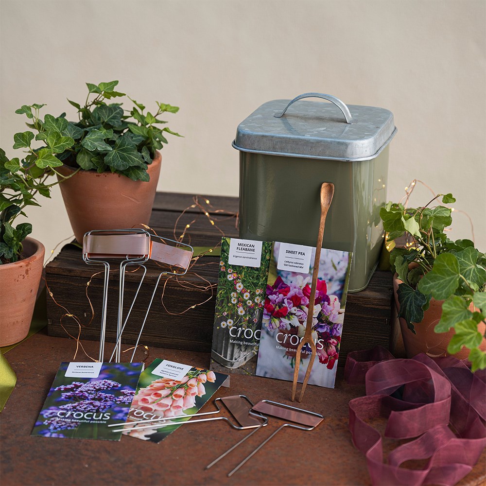 English cottage garden seed kit