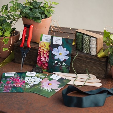 Grow your own bouquet kit