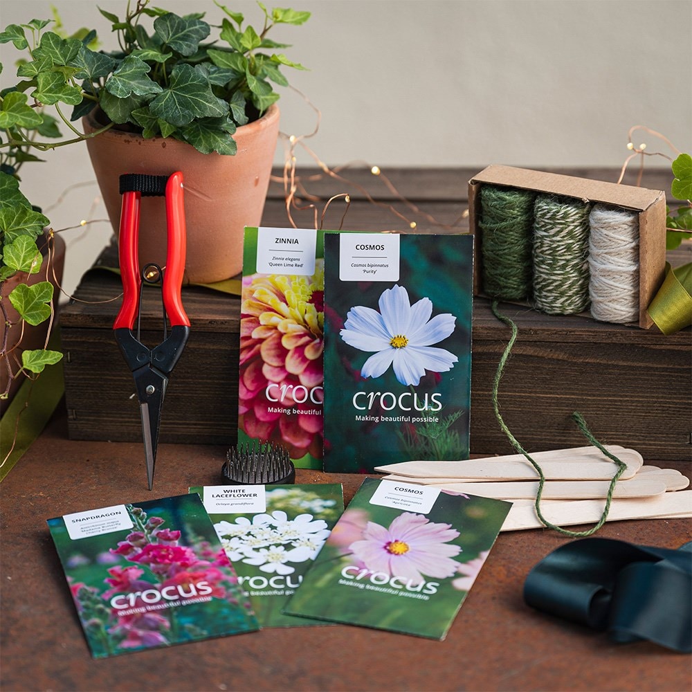 Grow your own bouquet kit