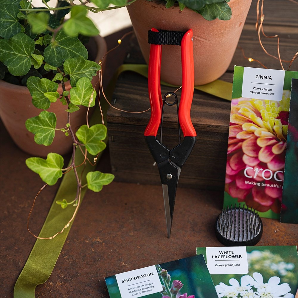 Grow your own bouquet kit