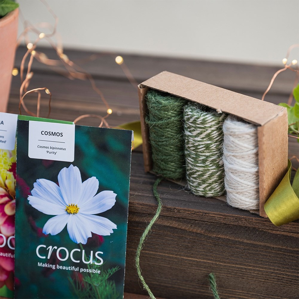 Grow your own bouquet kit