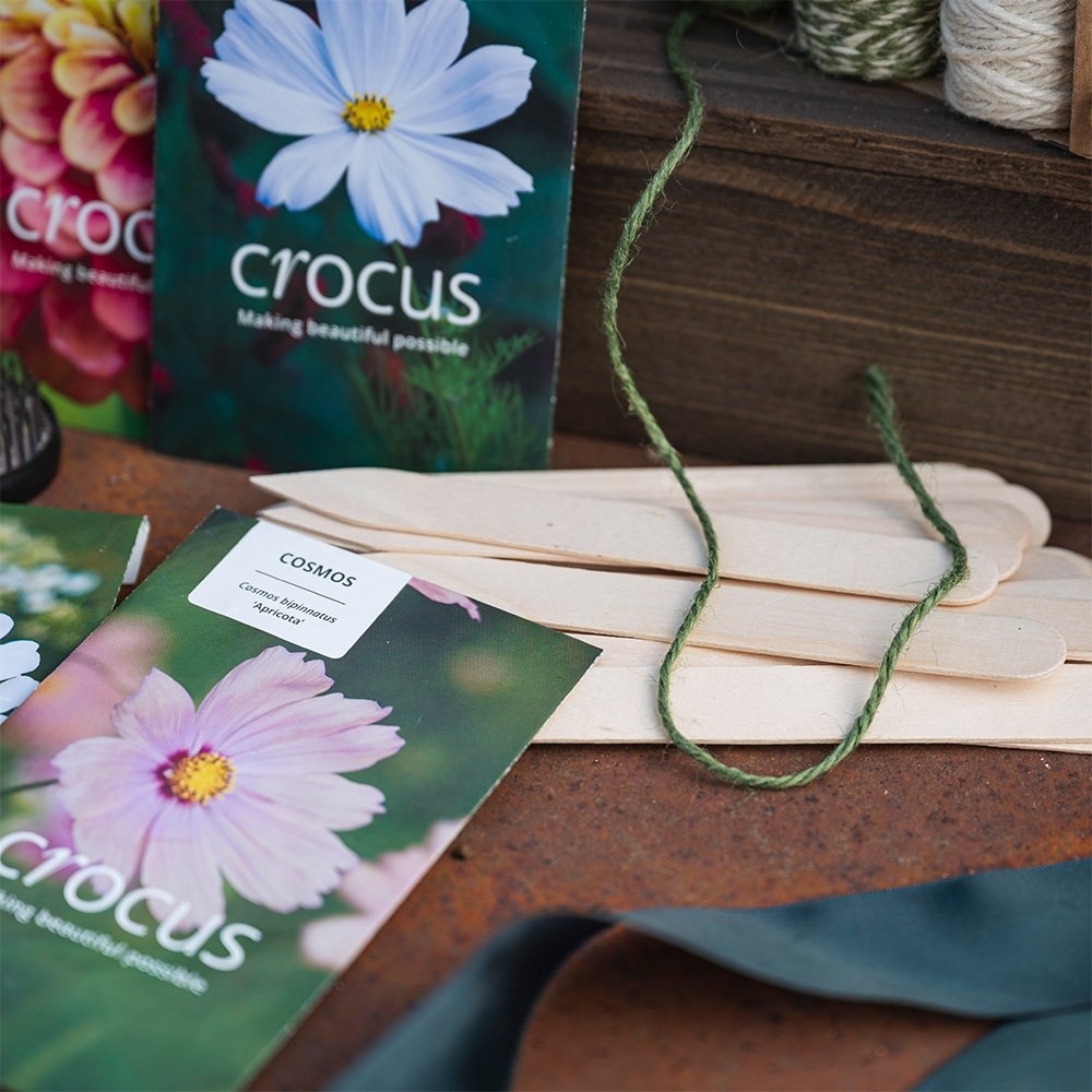 Grow your own bouquet kit