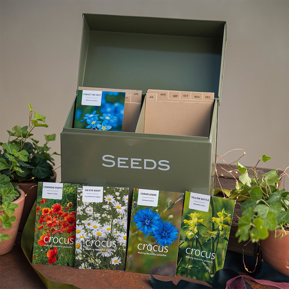 Seedbox with wildflowers gift set