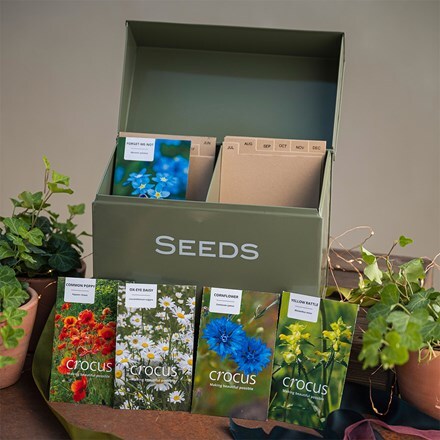 Seedbox with wildflowers gift set