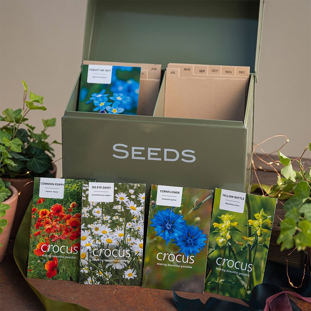 Seedbox with wildflowers gift set