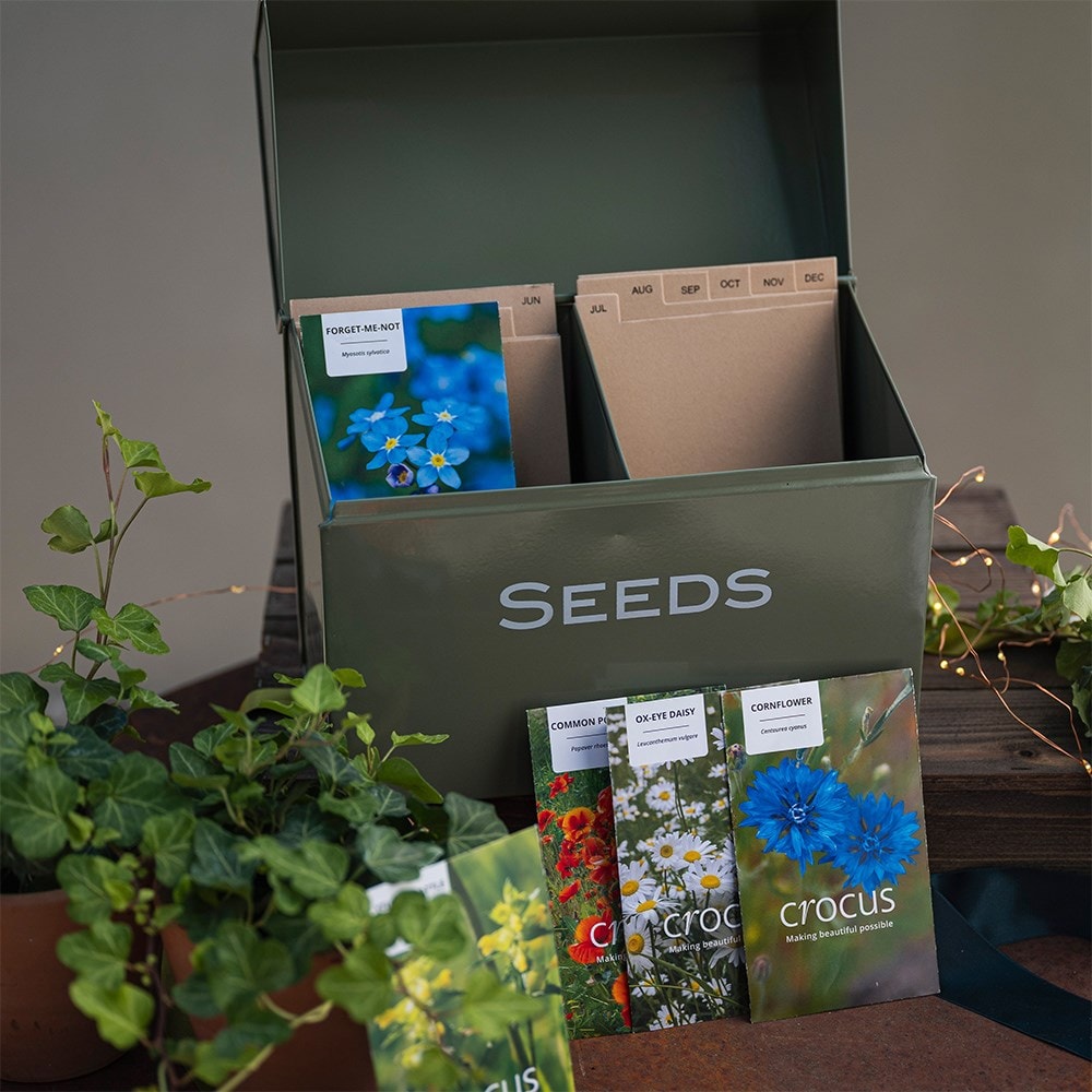 Seedbox with wildflowers gift set