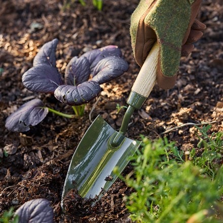 RHS Burgon & Ball BoronGreen hand trowel