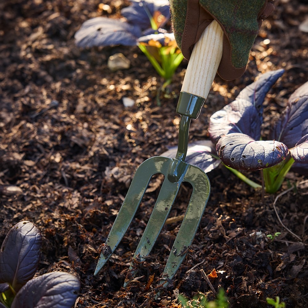 RHS Burgon & Ball BoronGreen hand fork