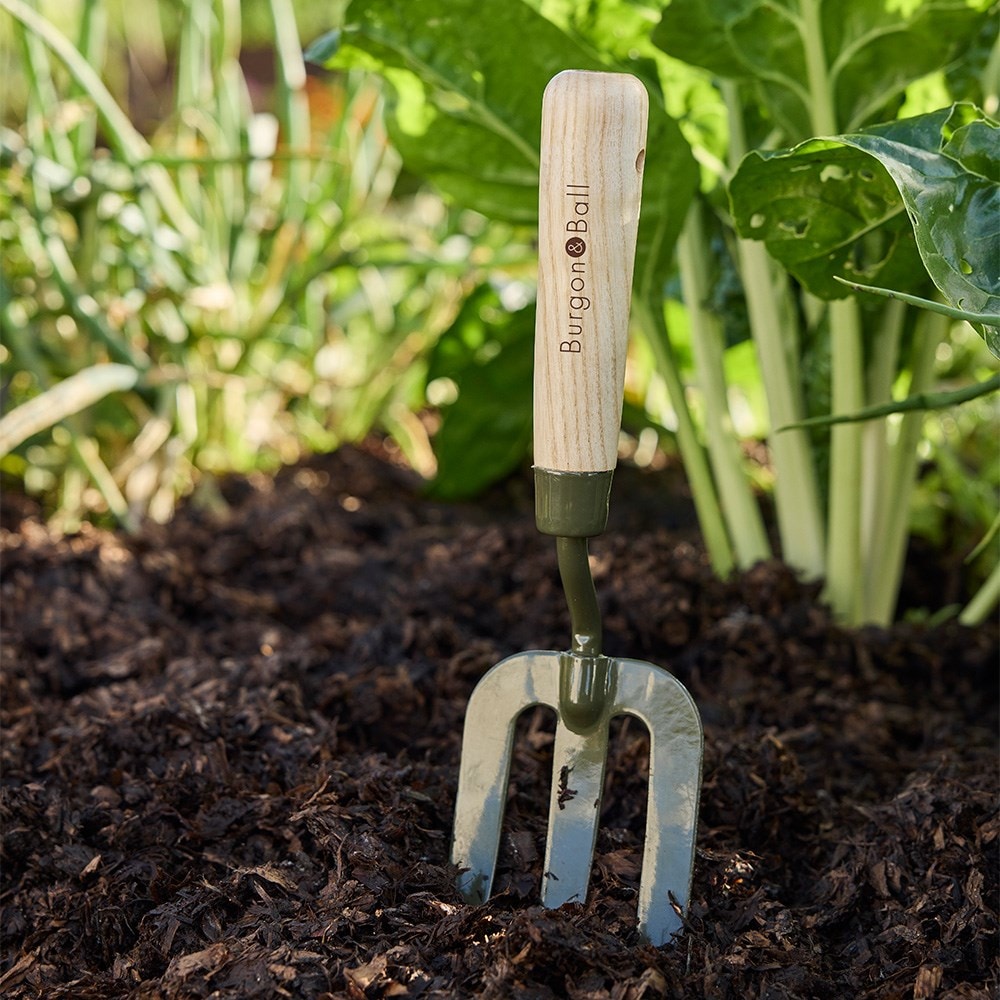 RHS Burgon & Ball BoronGreen hand fork