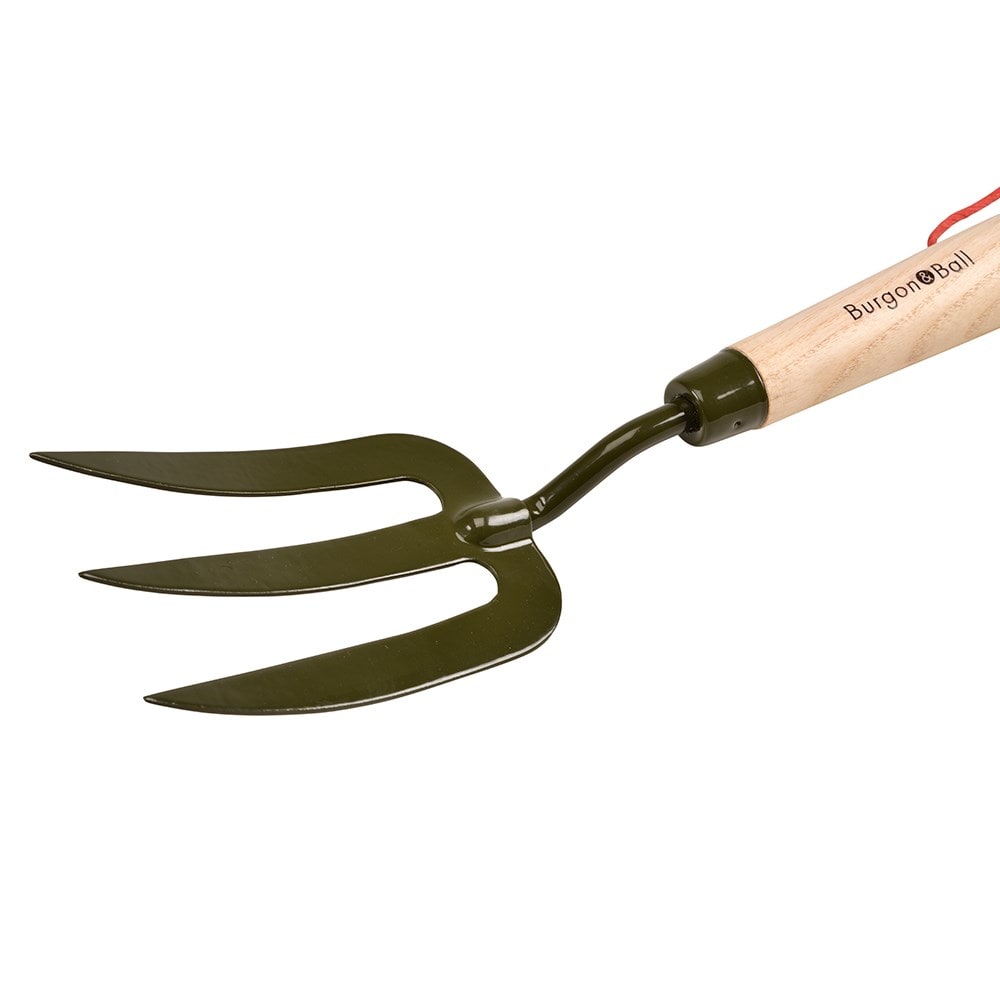 RHS Burgon & Ball BoronGreen hand fork