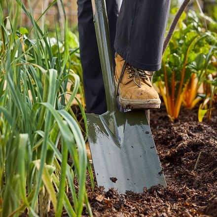 RHS Burgon & Ball BoronGreen digging spade