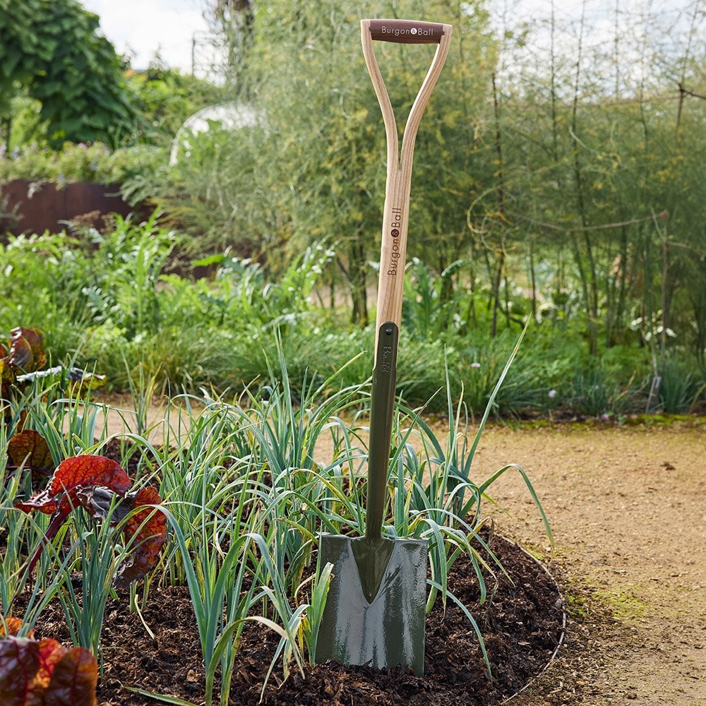 RHS Burgon & Ball BoronGreen digging spade