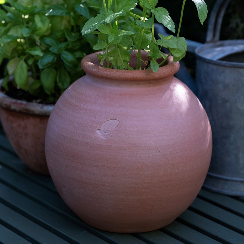 Terracotta mint pot