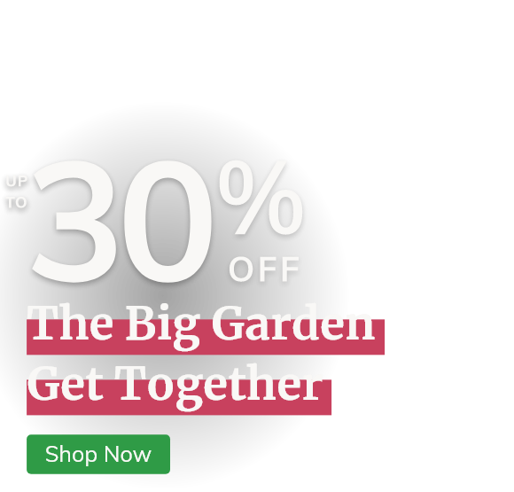The Big Garden Get Together