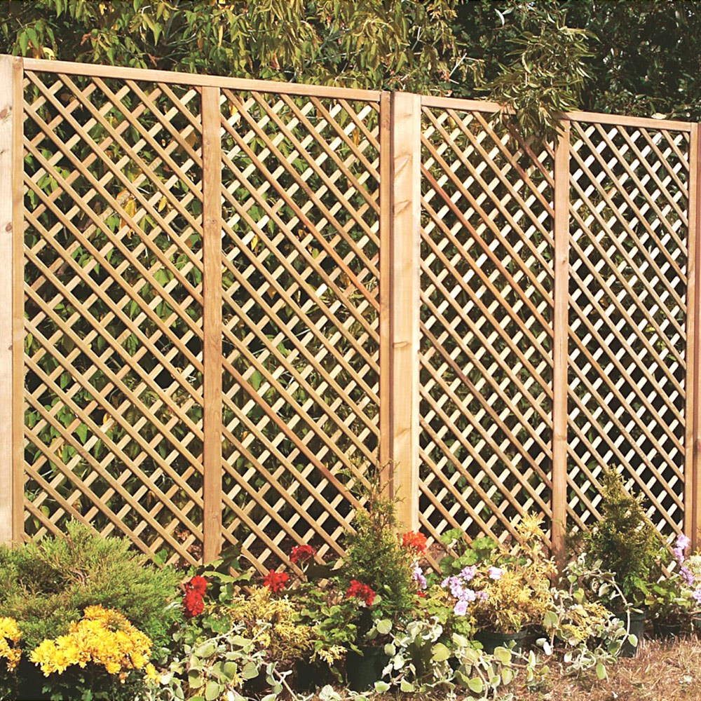 Fill your garden with colour