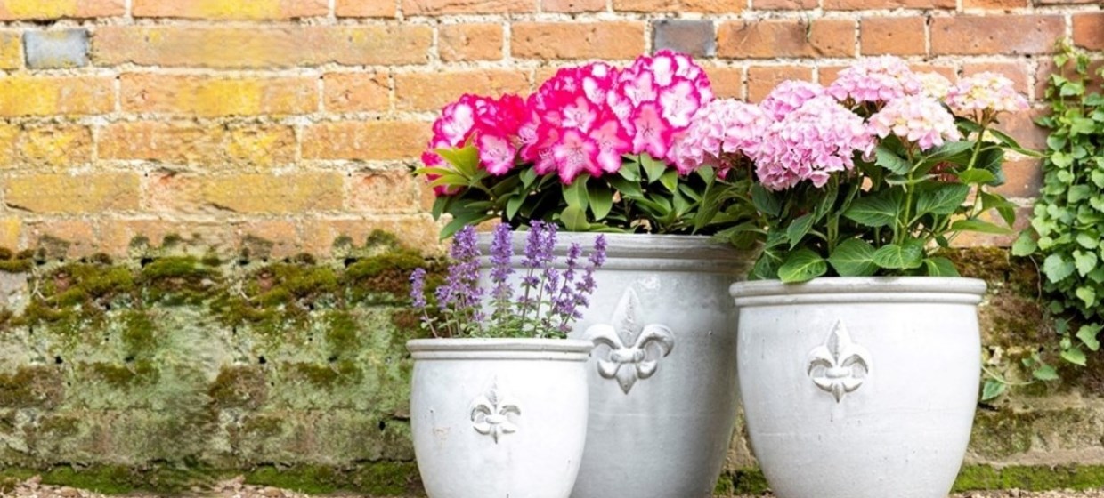 Planters