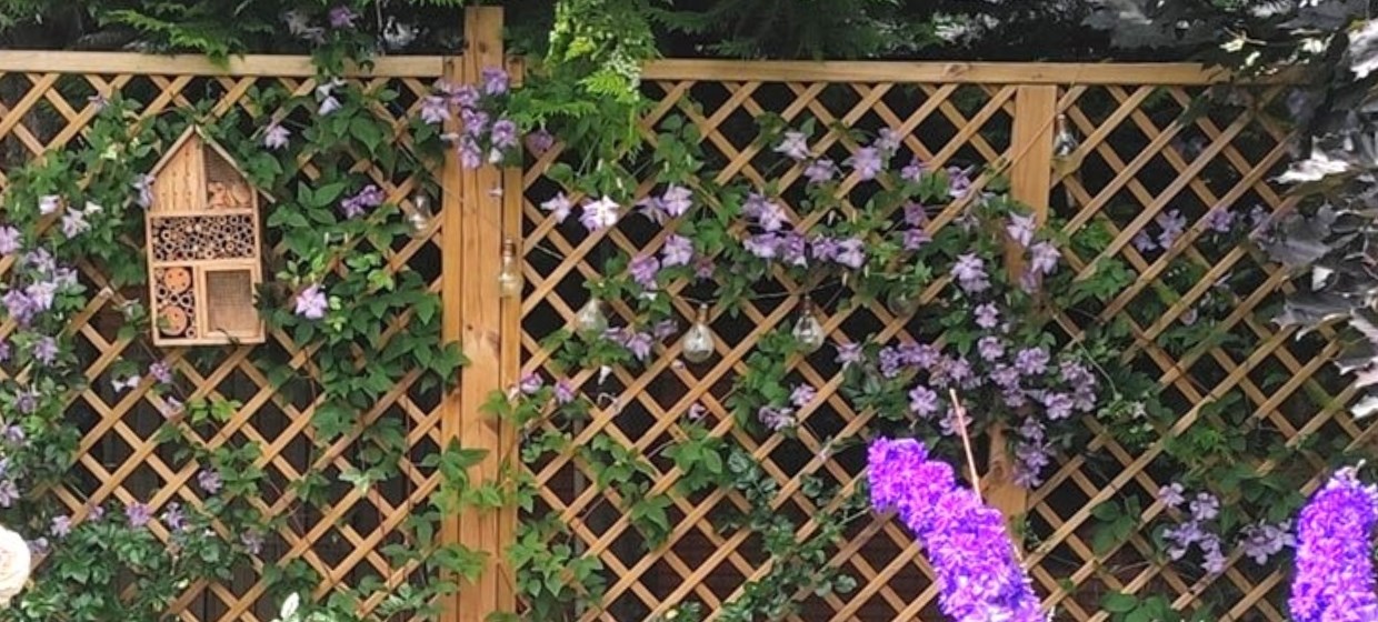 Trellis & Screening
