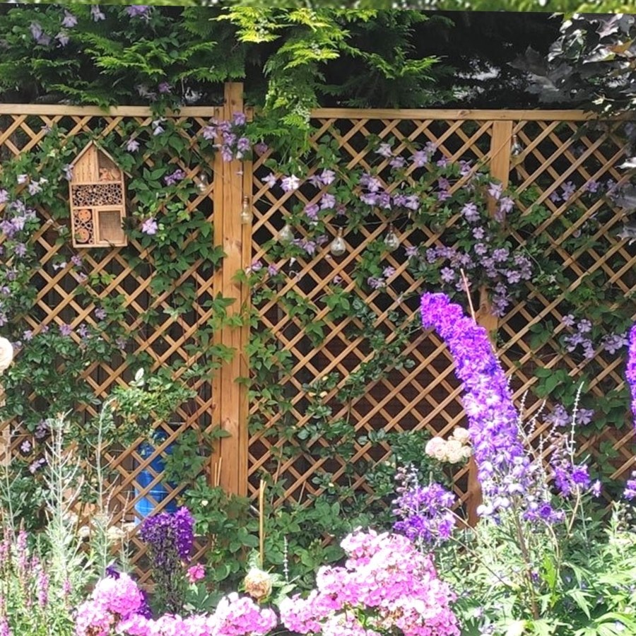 Trellis & Screening