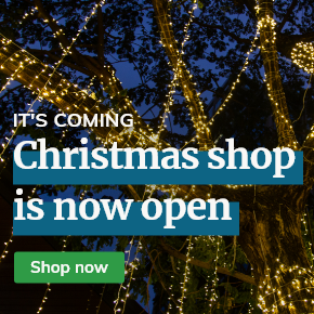 Christmas Shop