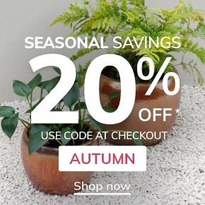 Seasonal Savings: Use code AUTUMN for 20% off selected products