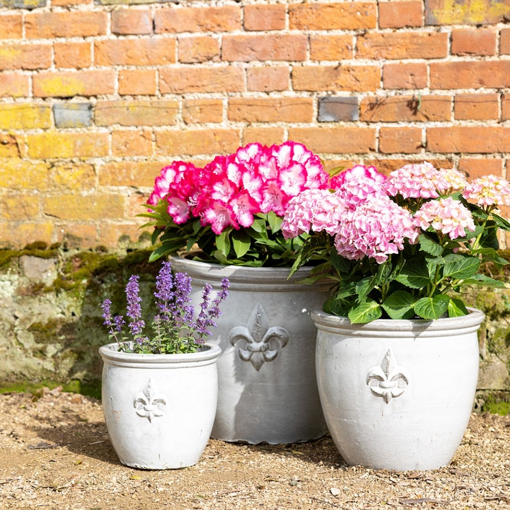 Planters